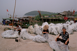 Wode Jingtou